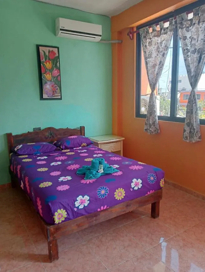 El Ultimo Maya Akumal Mexiko